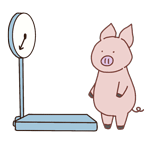 体重計に乗って悲しむ豚