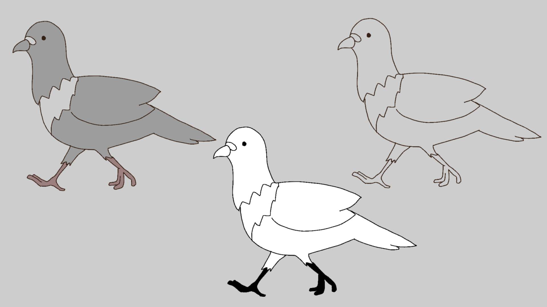 TELOPICTの動くアイコン素材・闊歩する鳩